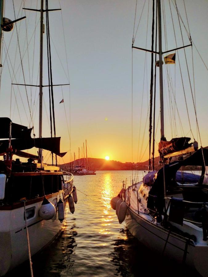 Yacht Front Studio - Back Yard - No 7 Chora  Buitenkant foto